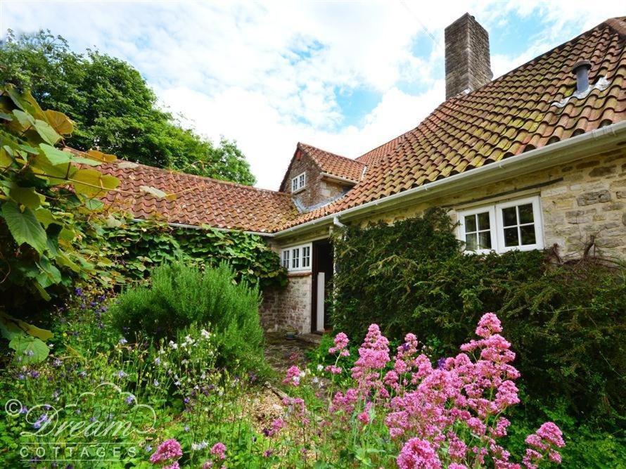 Sixpenny Cottage Upwey Luaran gambar